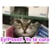 (＠_＠;) Animalitos 14