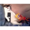 (＠_＠;) Animalitos 15