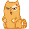 Cat Peach 1 13