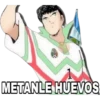 METANLE HUEVOS