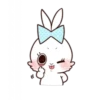 Rabbit 16
