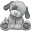 Blue Nose 16