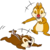 chip 13