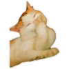 AnimalesChidos 15