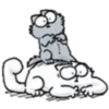 CS