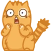 Cat Peach 2 9