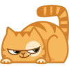 Cat Peach 1 14