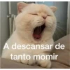 (＠_＠;) Animalitos 21