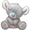 Blue Nose 18