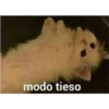 (＠_＠;) Animalitos 22