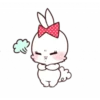 Rabbit 22