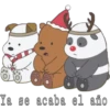 Navideño time 18