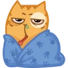 Cat Peach 1 15