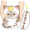 Zuki, Gatita Siamés (3) 25