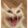 cats and other magnificent creatures  :D 23