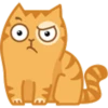 Cat Peach 2 10
