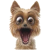 AnimalesChidos 19