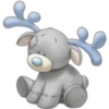 Blue Nose 22