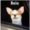 (＠_＠;) Animalitos 23