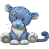 Blue Nose 25