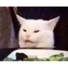 Animais 2 16