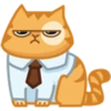 Cat Peach 2 12