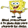 Bob Piropos 7