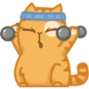 Cat Peach 1 16