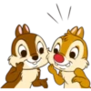 chip 21
