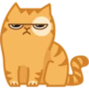 Cat Peach 2 13