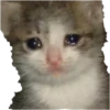 Animais 2 19