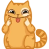 Cat Peach 2 16