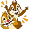 chip 24
