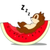 chip 25