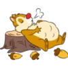 chip 27