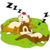 chip 28