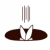 Rabbit 26