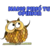 NADIE PIDIÓ TU OPINION