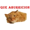 QUE ABURRICION
RIG