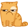 Cat Peach 2 18