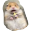 Animais 2 21