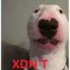 ._.XD 10