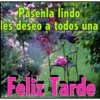 buenas tardes 18
