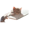 AnimalesChidos 23