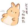 Soft and Cute Rabbits 5