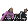 *Se
descomponen*