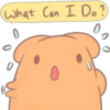 What Can I Do?