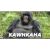 TOST
KAWHKAHA
