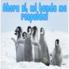 cachorros salvajes 7