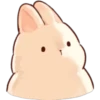 Soft and Cute Rabbits 6